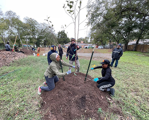 One Tree Planted